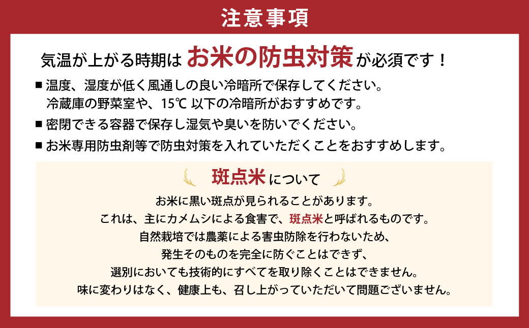 【2月発送予定】令和８年産 特別栽培米 循環型農業で作った「にじのきらめき」10kg (5kg×2) 米 コメ こめ 特別栽培 先行 先行予約 精米 白米 人気 おすすめ 5kg 三重県 多気町 TC-0614