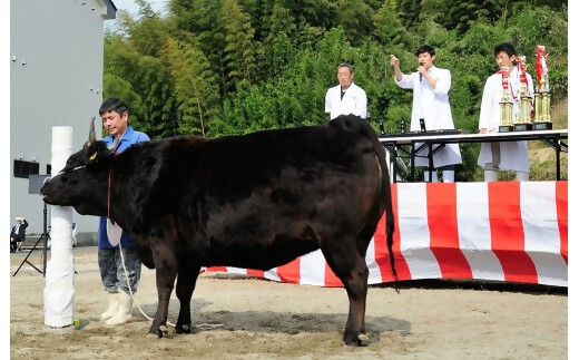 ã12æäžçºéã»ãå±ãåžææ¥ãæå®å¯ã倿°çºèçå
±é²äŒåºåçãç¹ç£æŸéªçãã¢ã¢ã«ã¿ãã©ãããçŒããããã¶ããã¶çšã500ïœ å¹Žå
é
é çæ¥æå®å¯èœ æ¥ææå®å¯èœ æããã åç²§ç®±å
¥ æŸåç æŸéªè ééã é«çŽãã©ã³ãç ããŒã¹ ãµãŒãã€ã³ ãªãããŒã¹ è©ããŒã¹ ããã¶ããã¶ çŒããã¶ ããçŒ çŒè èªå®
çš èŽçå ã®ãã ãæ³æ® ãäžå
çè ãšããã åç A4 A5 ç¹ç£ NTY-45