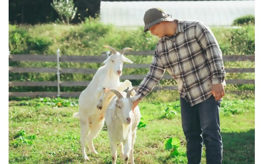 JJC-01自然の循環と向き合える「農ある生活」を始めてみませんか？自給自足カレッジVISON校　お試し受講券（1講座受講券）