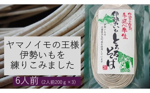 GF-21　伊勢いも入り手延べ半生とろろそば