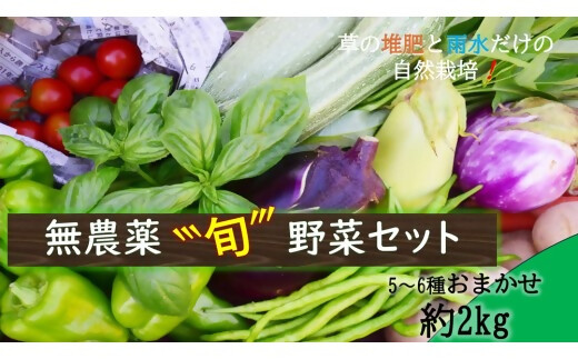 【無農薬セット】草の堆肥と雨水だけの自然栽培で育てた旬の固定種野菜セット　【TSN-01】