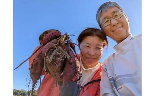 農薬・化学肥料不使用　温室効果ガス削減に貢献しながら、のどかな畑で大切に育てた　熟成　蜜芋　サツマイモ（紅はるか）４ｋｇ　S～LLサイズ混合  TFN-01