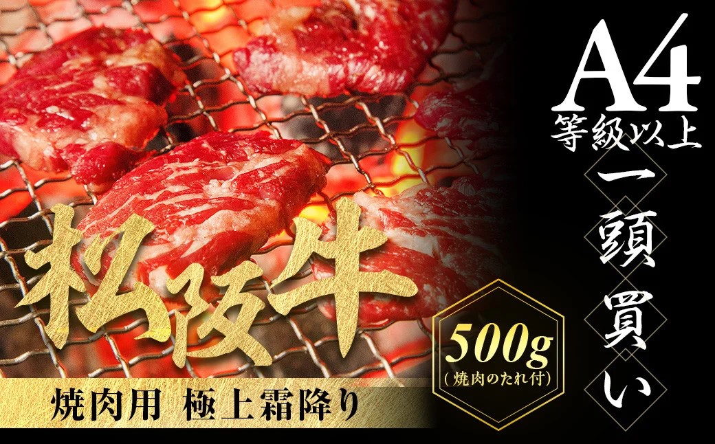 松阪牛 極上霜降り 焼肉用 500g 焼肉のたれ付 極上の柔らかさ 化粧箱入り 柔らかい 松坂牛 松阪肉 高級ブランド牛 イチボ ハネシタ ロース トモサンカク 三角 ミスジ カイノミ 焼き肉 自宅用 贈答品 ギフトA4 A5 特産松阪牛 お歳暮 お中元 牛肉 とろける 和牛 三重県 NTY-10