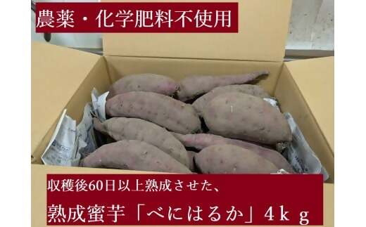 農薬・化学肥料不使用　温室効果ガス削減に貢献しながら、のどかな畑で大切に育てた　熟成　蜜芋　サツマイモ（紅はるか）４ｋｇ　S～LLサイズ混合  TFN-01