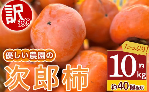  【令和7年産柿/先行予約】優しい農園の訳あり次郎柿 10kg 次郎柿 たねなし 柿 かき フルーツ 家庭用 訳あり 規格外 わけあり 不揃い ふぞろい 種なし 干し柿 先行 先行予約 三重県 多気町 YSN-01　