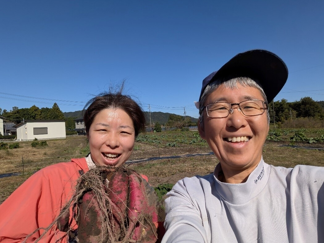 ≪訳あり≫ 栽培期間中、化学肥料・農薬不使用　温室効果ガス削減に貢献しながら、のどかな畑で大切に育てた　キズあり　サツマイモ（紅はるか）６ｋｇ　S～LLサイズ混合  MF-01