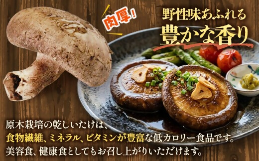 完全無農薬！ 森林栽培原木 乾しいたけ 「特撰・伊勢どんこ」 250g 【月20個限定】 YZ-011