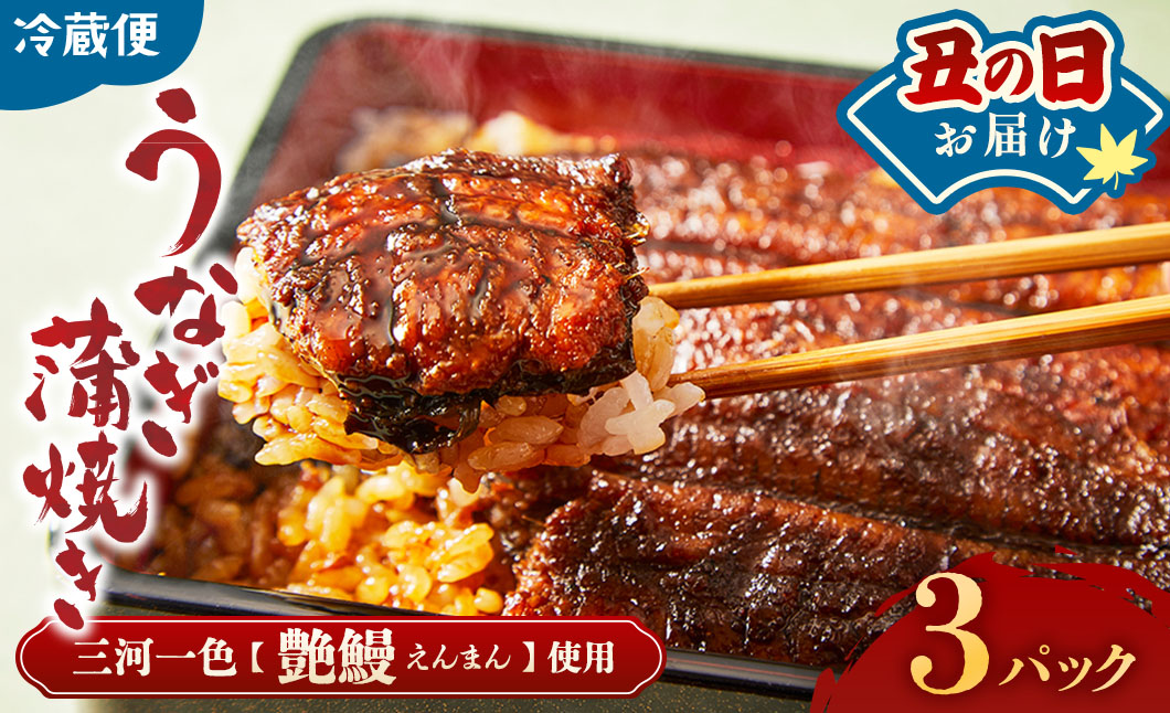 【土用の丑の日お届け】3代目が焼く蒲焼き真空パックA 3パック 国産 うなぎ 蒲焼 鰻 ウナギ 蒲焼き 丑の日 うな重 うな丼 うなぎ蒲焼 冷蔵 土用の丑の日 ギフト 三重県 多気町 UK-0107