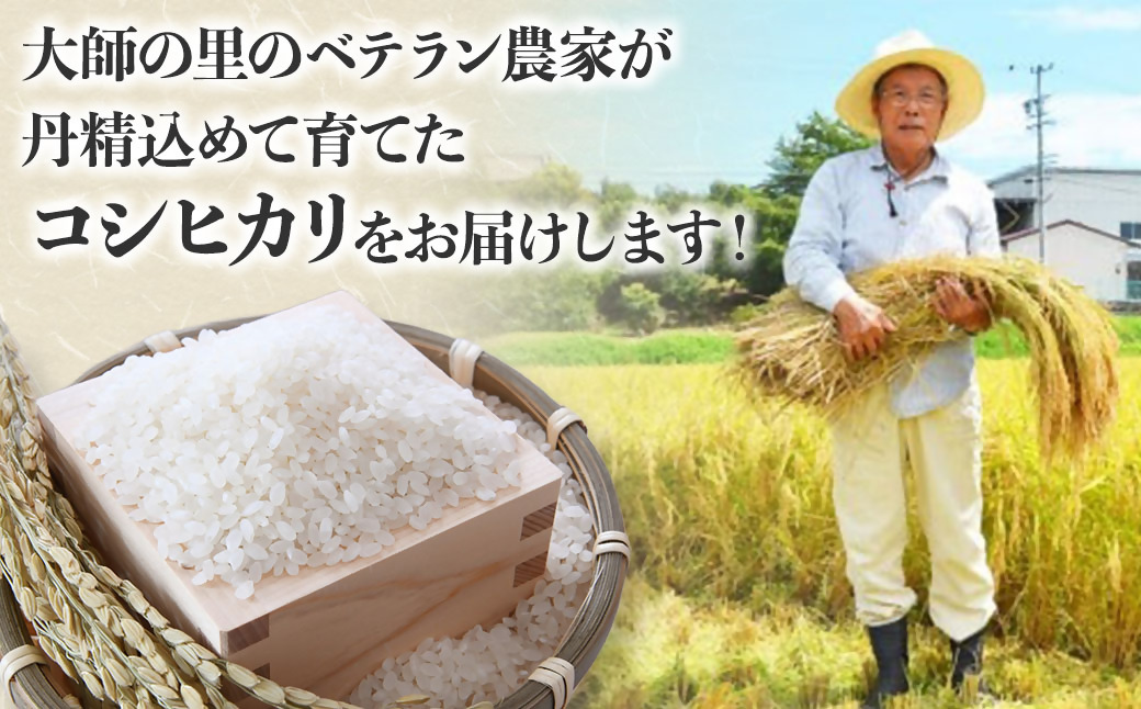 令和7年産 コシヒカリ 10kg こしひかり 米 精米 コメ FY-03-2025