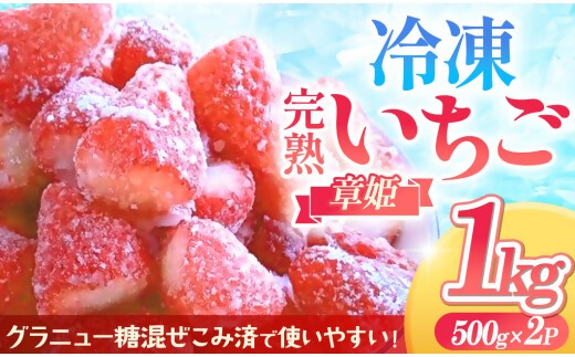 冷凍完熟手摘みいちご（章姫）不揃い 1kg 砂糖入り 農園直送 イチゴ 苺 冷凍いちご 果物 スイーツ デザート フルーツ アイス ジャム シャーベット ベリー 氷菓 甘い 果実 あまい 三重県 多気町 FR-13