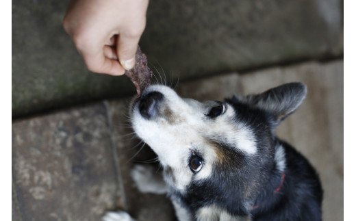 GJ04　【愛犬用】伊勢の鹿 ジャーキー（お試しセット） | おやつ