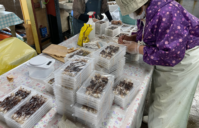 【期間限定】とりがいのひらき 旬 おすすめ とり貝 トリガイ 貝 鳥貝 急速冷凍 高タンパク 低脂肪 ヘルシー sm4