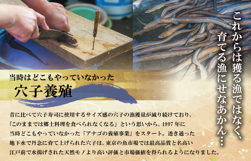 干物 詰め合せ 貝 魚介 魚貝 海鮮 新鮮 人気 高級 珍味 おつまみ 干物 バカガイ アオヤギ  穴子 あなご アナゴ カレイ みりん干し I9