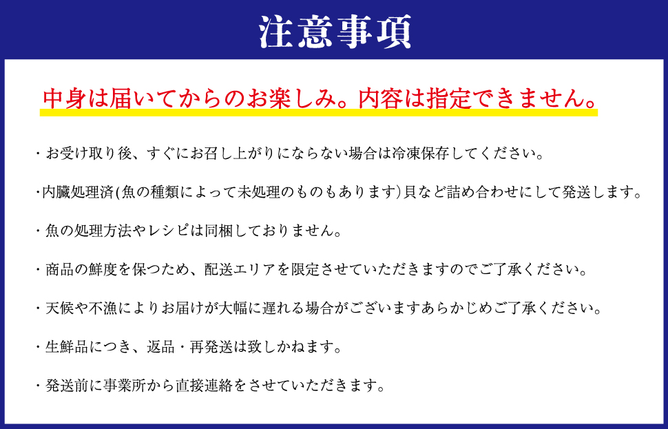 伊勢湾産 海産物セット 魚 貝 干物 海藻 新鮮 詰め合わせ セット 海鮮 海産 直送 海 漁師 おまかせ 旬 季節 お楽しみ K5