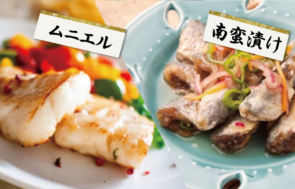 伊勢湾産 海産物セット 魚 貝 干物 海藻 新鮮 詰め合わせ セット 海鮮 海産 直送 海 漁師 おまかせ 旬 季節 お楽しみ K5