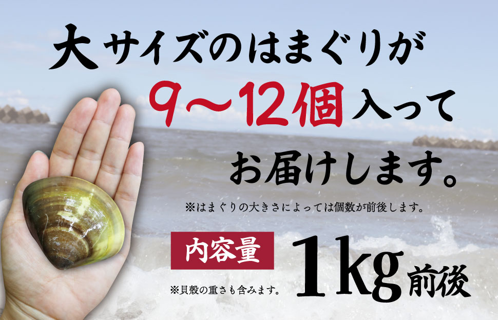 三重県産 活きはまぐり 大サイズ １kg 【しもい水産】はまぐり ハマグリ 天然はまぐり 活はまぐり 天然 砂抜き ふるさと納税 ふるさと 人気 網焼き 酒蒸し お吸い物 バーベキュー BBQ  sm3