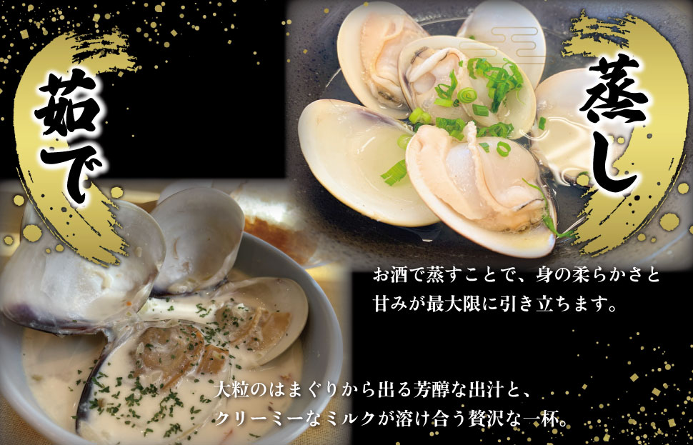 三重県産 活きはまぐり 大サイズ １kg 【しもい水産】はまぐり ハマグリ 天然はまぐり 活はまぐり 天然 砂抜き ふるさと納税 ふるさと 人気 網焼き 酒蒸し お吸い物 バーベキュー BBQ  sm3