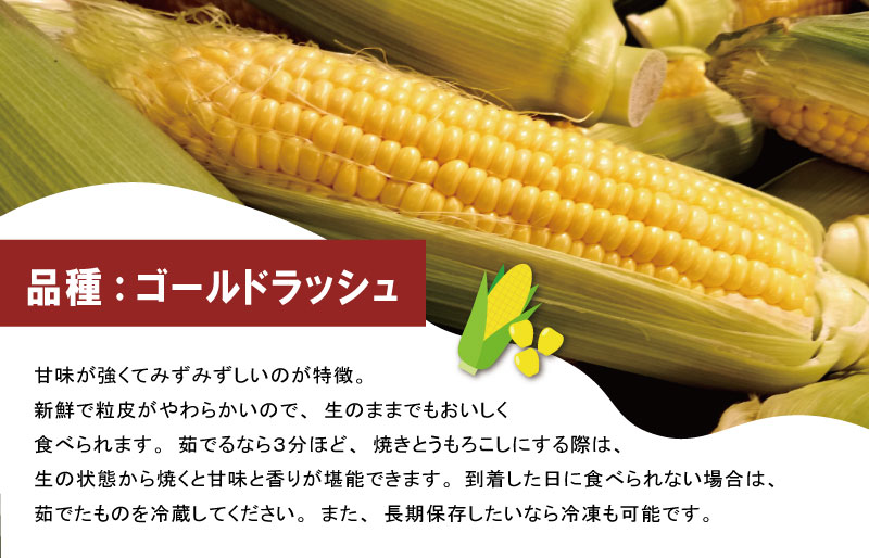 北山さんちの新鮮 とうもろこし キャンプ BBQ 人気 トウモロコシ 生 野菜 産地直送 朝どれ 甘い 期間限定 国産 旬 夏野菜 kn2