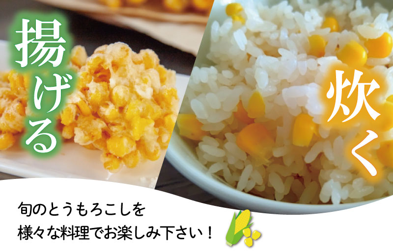 北山さんちの新鮮 とうもろこし キャンプ BBQ 人気 トウモロコシ 生 野菜 産地直送 朝どれ 甘い 期間限定 国産 旬 夏野菜 kn2