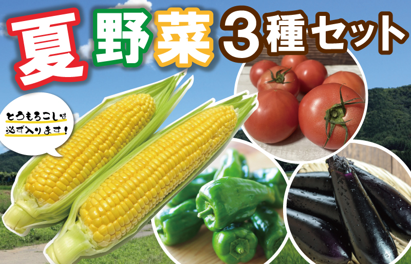 北山さんちの夏野菜 3種 セット