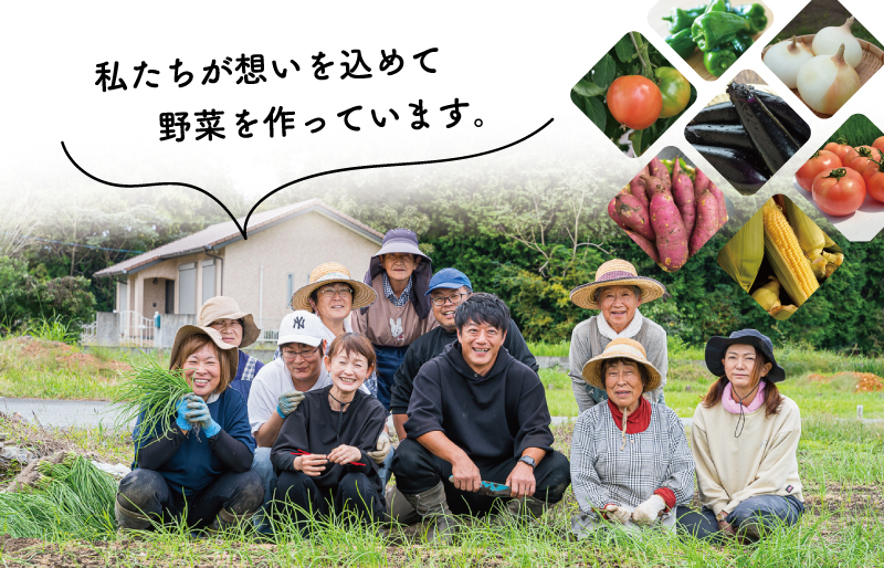 北山さんちの新たまねぎ 6kg 産地直送 新鮮 野菜 季節の野菜 旬 直送 玉ねぎ タマネギ 新玉ねぎ 国産 生がおいしい フレッシュ オニオン サラダ 玉ねぎステーキ オニオンスープ 甘み ジューシー お取り寄せ kn1