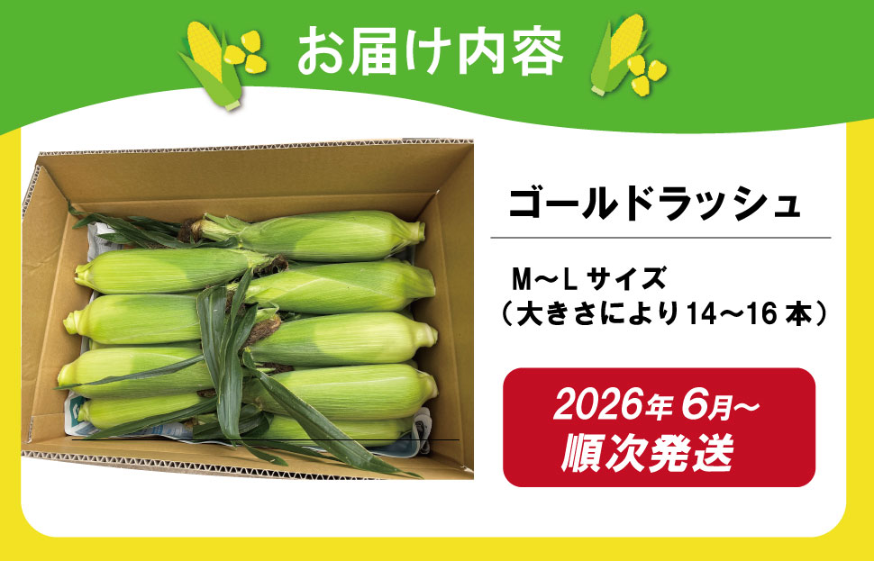 北山さんちの新鮮 とうもろこし キャンプ BBQ 人気 トウモロコシ 生 野菜 産地直送 朝どれ 甘い 期間限定 国産 旬 夏野菜 kn2