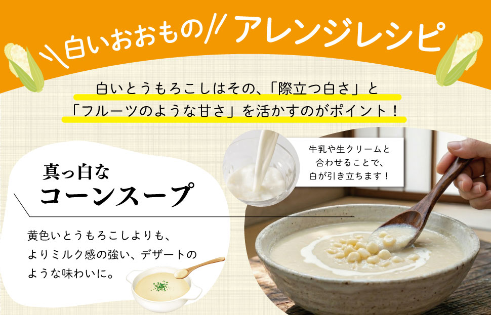 北山さんちの新鮮とうもろこし 白いおおもの 14～16本 キャンプ BBQ 人気 白 トウモロコシ コーン 生 野菜 産地直送 朝どれ 甘い 期間限定 国産 旬 夏野菜 kn3