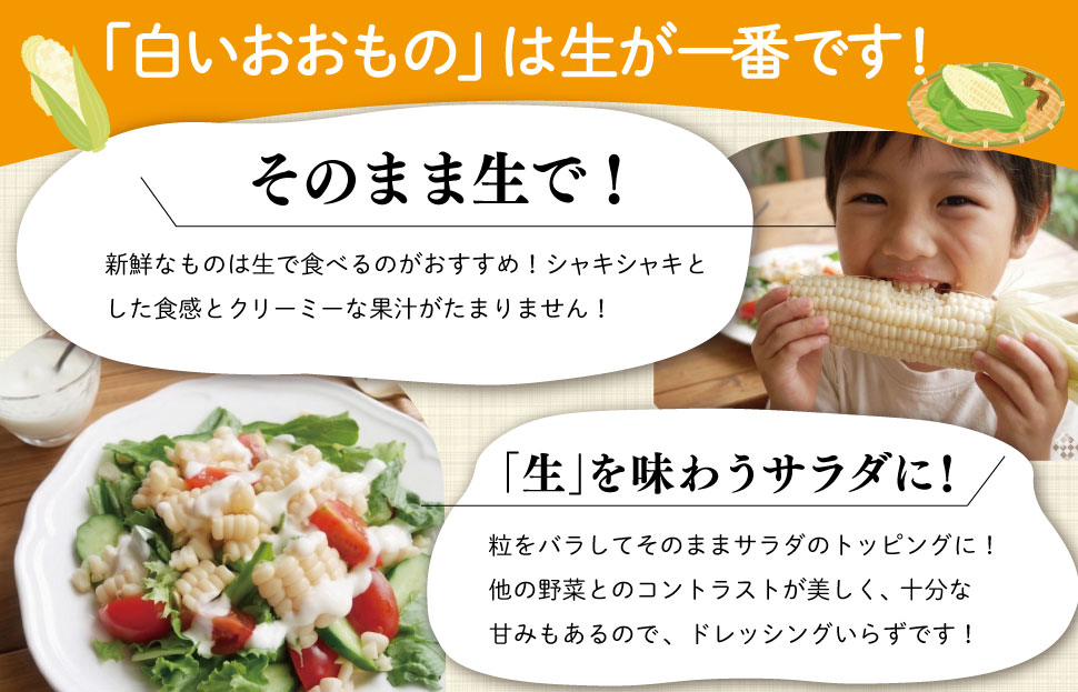 北山さんちの新鮮とうもろこし 白いおおもの 14～16本 キャンプ BBQ 人気 白 トウモロコシ コーン 生 野菜 産地直送 朝どれ 甘い 期間限定 国産 旬 夏野菜 kn3