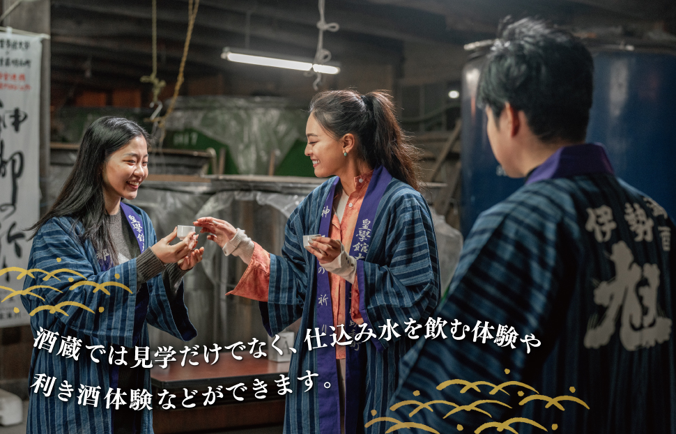 日本酒 の奥深さを サイクリング で感じる テロワール 体験 2名 自転車 レンタル 旅行 キャンプ お出かけ 自然 自転車 電動自転車 らくらく アウトドア 家族旅行 BBQ