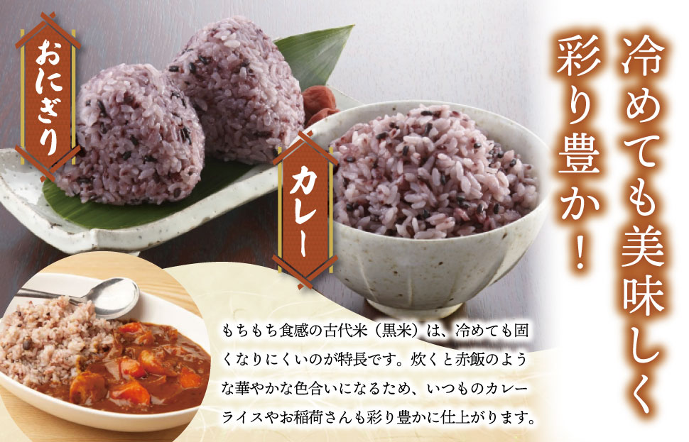 伊勢 斎宮 古代米 黒米 100g×3袋 合計300g 数量限定 小分け セット 玄米 ご飯 もち米 国産 アントシアニン 栄養 健康 美容 栄養 おにぎり カレー M1825