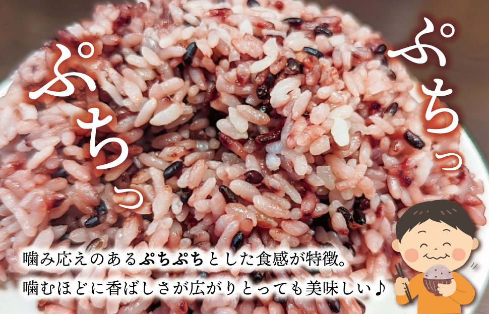 伊勢 斎宮 古代米 黒米 100g×3袋 合計300g 数量限定 小分け セット 玄米 ご飯 もち米 国産 アントシアニン 栄養 健康 美容 栄養 おにぎり カレー M1825