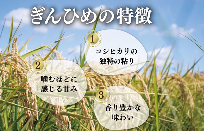 三重県産 コシヒカリ 「ぎんひめ」 精米 10㎏×2袋 （合計20kg)