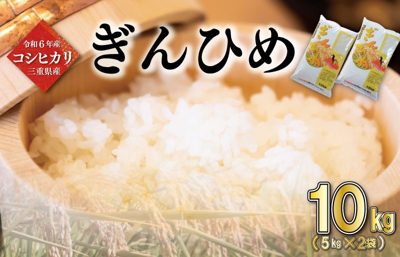 三重県産 コシヒカリ ぎんひめ 精米 5kg×2袋（ 合計 10kg ） ふるさと納税 ふるさと 米 コメ こめ おこめ ギフト プレゼント 贈答 贈り物 御祝い お祝い返礼品 人気 お取り寄せ 三重米 お米 新米 白米 精米 ブランド米 国産 JA