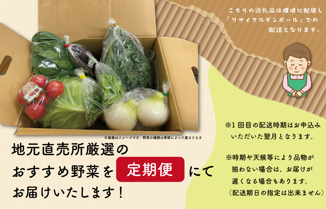 旬の野菜 詰め合わせ 6～7品以上 連続3か月【定期便】おまかせ セット 産地直送 新鮮