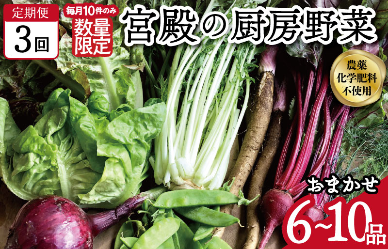 宮殿の厨房野菜 おまかせ定期便 （3回） 六月農園 野菜 セット 産地直送 おまかせ 季節の野菜 旬 詰め合わせ 人気 限定 減農薬 有機栽培 オーガニック 明和町 国産 リピート 定期便