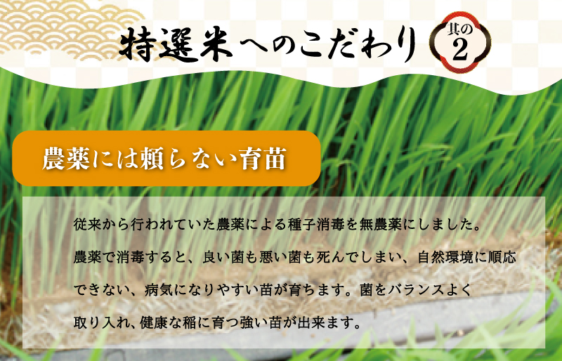 (有)松幸農産 特選米 20kg セット コシヒカリ お米 おこめ 玄米 精米歩合 指定可 三重県産 送料無料 5kg×4袋 小分け 冷めてもおいしい ふるさと納税 ふるさと 米 コメ こめ ギフト プレゼント 人気 お取り寄せ 三重米 新米 白米 精米