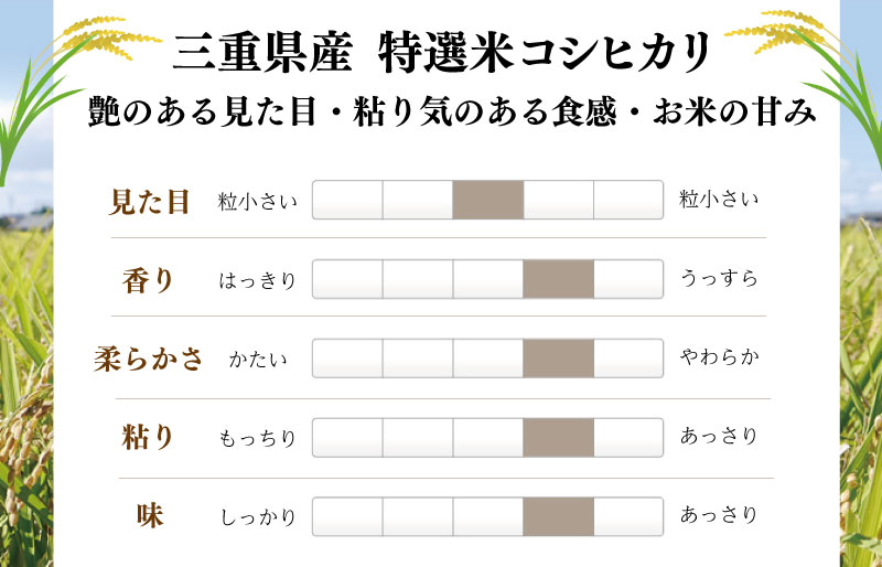 (有)松幸農産 特選米 20kg セット コシヒカリ お米 おこめ 玄米 精米歩合 指定可 三重県産 送料無料 5kg×4袋 小分け 冷めてもおいしい ふるさと納税 ふるさと 米 コメ こめ ギフト プレゼント 人気 お取り寄せ 三重米 新米 白米 精米