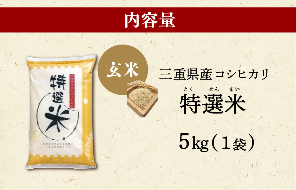 (有)松幸農産 特選米 玄米 5kg セット コシヒカリ お米 おこめ 三重県産 送料無料 5kg×1袋 玄米 小分け 冷めてもおいしい ふるさと納税 ふるさと 米 コメ こめ ギフト プレゼント 人気 お取り寄せ 三重米 新米 MK19