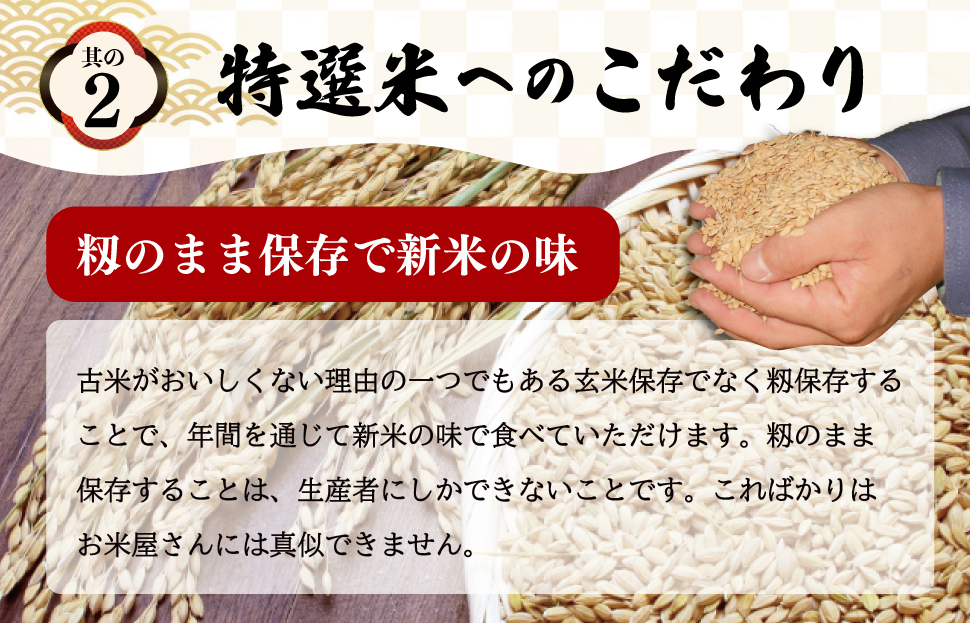 äžéçç£ ç¹éžç±³ ã³ã·ãã«ãª 10kg å®æäŸ¿ ãµãããšçŽçš ãµãããš ç±³ ã³ã¡ ãã ããã ã®ãã ãã¬ãŒã³ã èŽç èŽãç© åŸ¡ç¥ã ãç¥ãè¿ç€Œå äººæ° ãåãå¯ã äžéç±³ ãç±³ æ°ç±³ çœç±³ 粟米 ãã©ã³ãç±³ åœç£ MK10