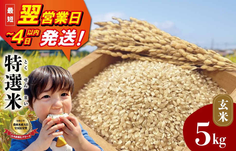 (有)松幸農産 特選米 玄米 5kg セット コシヒカリ お米 おこめ 三重県産 送料無料 5kg×1袋 玄米 小分け 冷めてもおいしい ふるさと納税 ふるさと 米 コメ こめ ギフト プレゼント 人気 お取り寄せ 三重米 新米 MK19