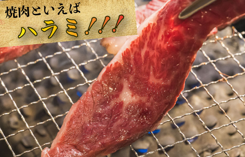 松阪牛 焼肉 （ハラミ） 500g  肉 牛 牛肉 和牛 ブランド牛 高級 国産 霜降り 冷凍 ふるさと 人気 焼肉 焼肉用 BBQ バーベキュー K10