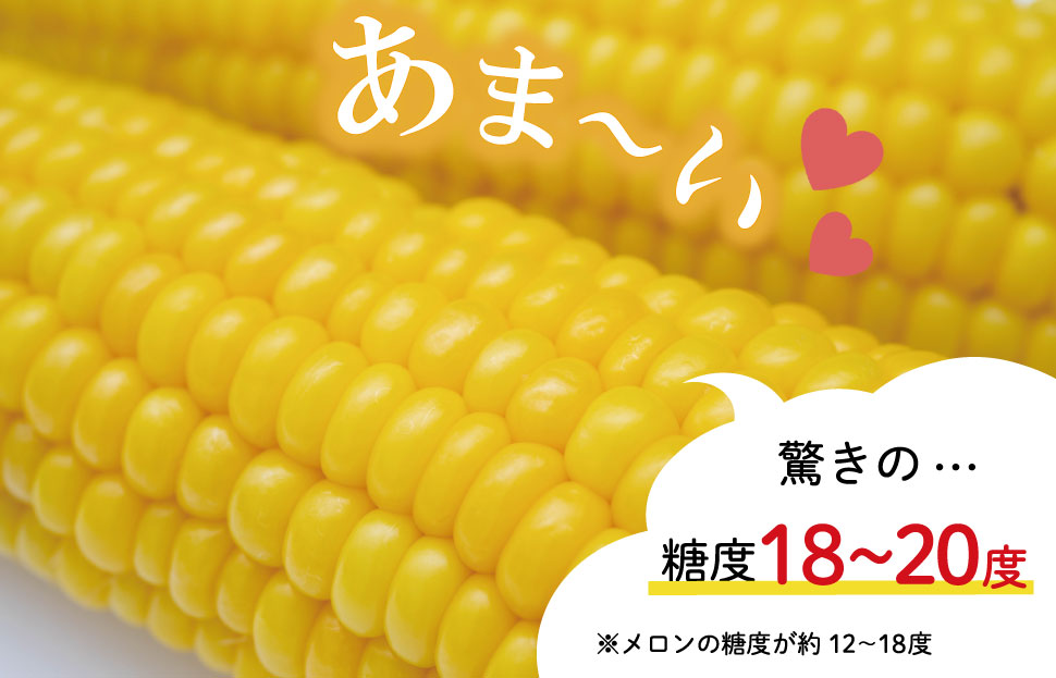 朝採れ とうもろこし スイートコーン 3Lサイズ キャンプ BBQ 人気 トウモロコシ 生 野菜 産地直送 朝どれ 甘い 期間限定 国産 旬 夏野菜