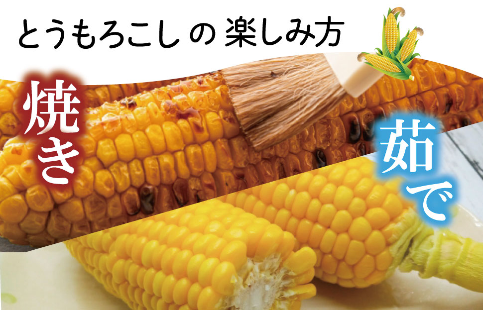 朝採れ とうもろこし スイートコーン 3Lサイズ キャンプ BBQ 人気 トウモロコシ 生 野菜 産地直送 朝どれ 甘い 期間限定 国産 旬 夏野菜