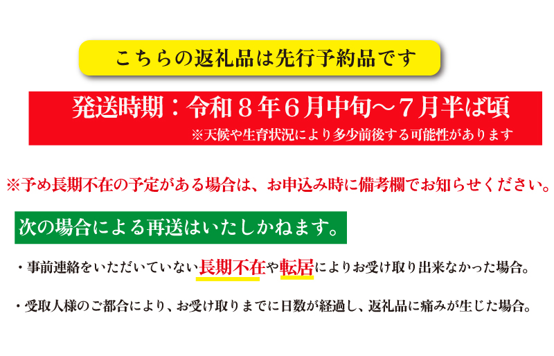 朝採れ とうもろこし スイートコーン 3Lサイズ キャンプ BBQ 人気 トウモロコシ 生 野菜 産地直送 朝どれ 甘い 期間限定 国産 旬 夏野菜