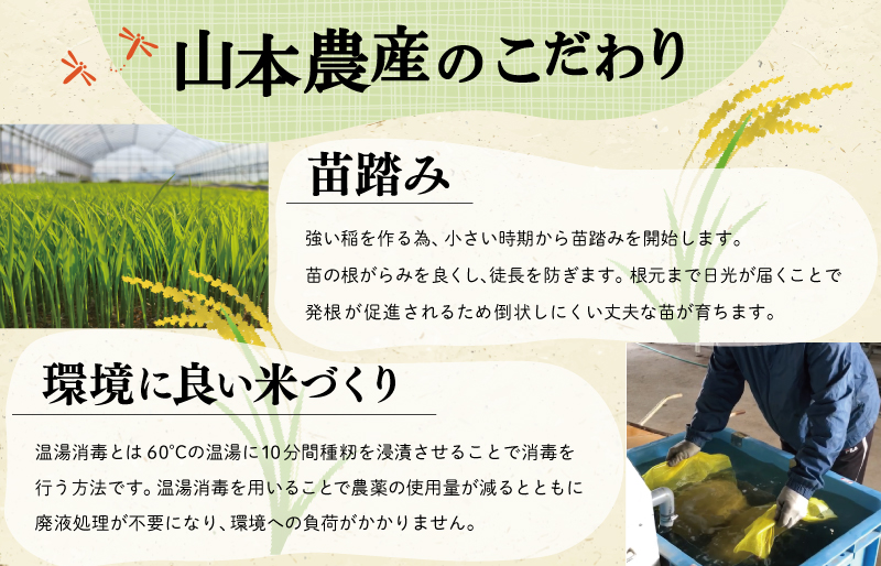 三重県産 山本農産のお米（コシヒカリ）の定期便 10kg×6回
