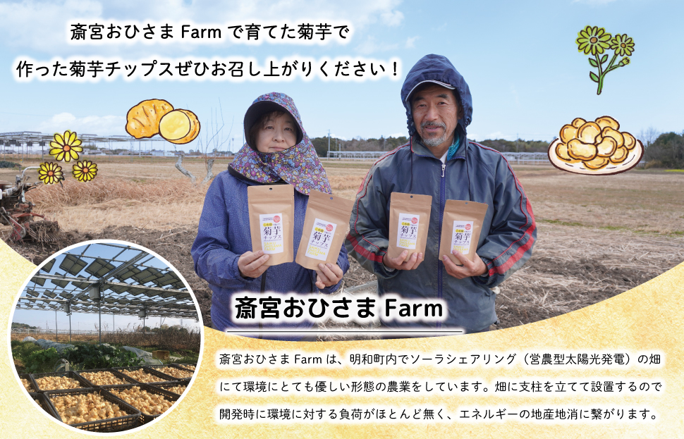 菊芋 チップス 6袋セット イヌリン 国産 糖質 有機 血糖値 体型 血圧 いも 菊芋茶 きくいも キクイモ SDGs エコ サスティナブル 健康 話題 農薬不使用 健康 食物繊維 野菜 おやつ おつまみ 三重県産