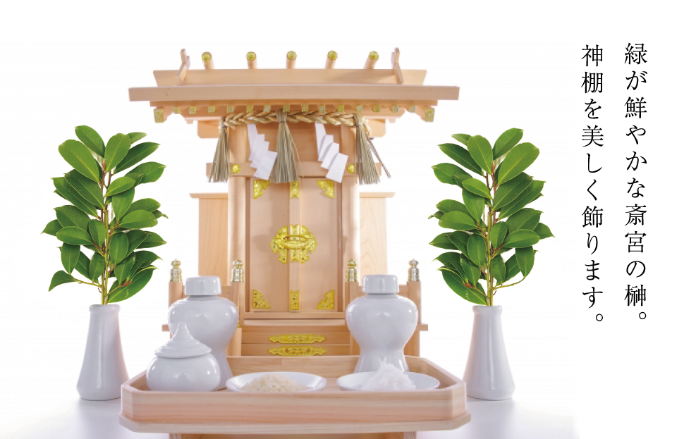 ç¥æ£çš æŠ 1察ïŒ2æïŒçŽ25cm ç¥æ£ ããã ãäŸã çè± æ¬æŠ ãµã«ã ä»è± ç¥å
· åœç£ æå®®ã®æŠ