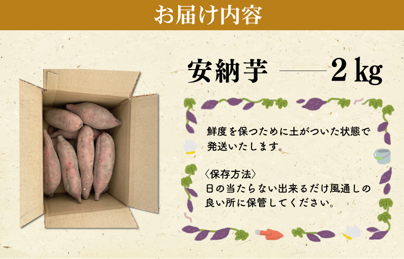 北山さんちのさつまいも 安納芋 2kg さつまいも サツマイモ 薩摩芋 いも 芋 ほくほく 産地直送 新鮮 野菜 季節の野菜 旬 直送