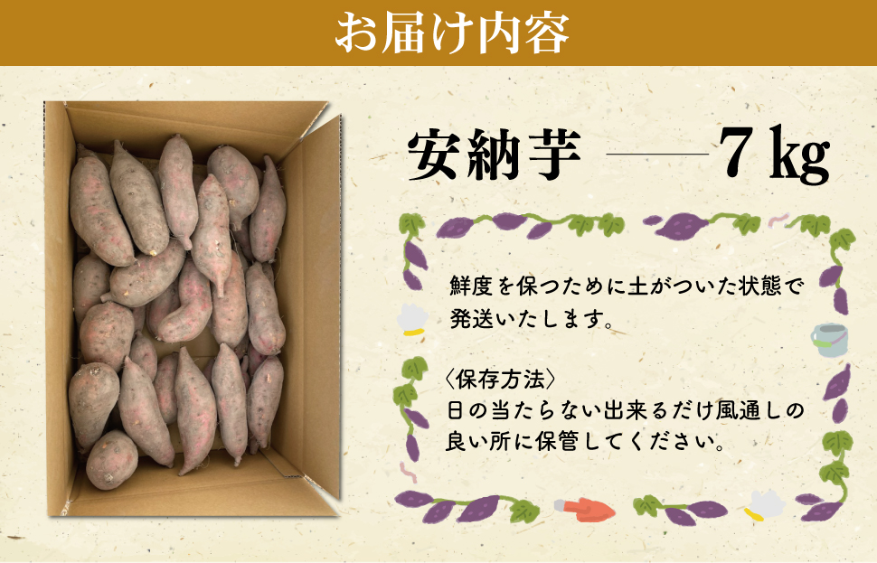 北山さんちのさつまいも 安納芋 7kg さつまいも サツマイモ 薩摩芋 いも 芋 ほくほく 産地直送 新鮮 野菜 季節の野菜 旬 直送