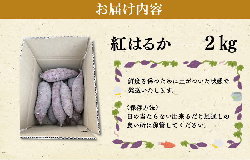 北山さんちのさつまいも 紅はるか 2kg さつまいも サツマイモ 薩摩芋 いも 芋 ほくほく 産地直送 新鮮 野菜 季節の野菜 旬 直送